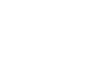 DI logo hvid