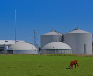 solrød-biogas